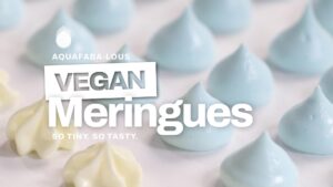 TAOF Vegan Meringues Feature Image